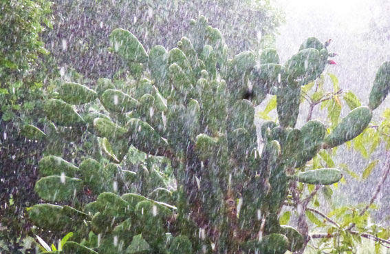 Starkregen in Kenia