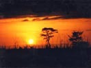 Sunset in kenia
