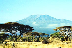 Marius Kilimanjaro